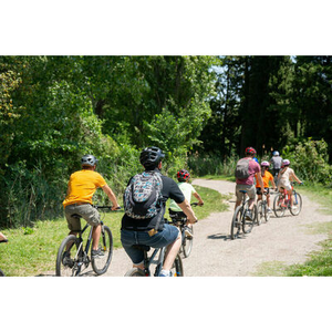 Illustration Nature en Fête