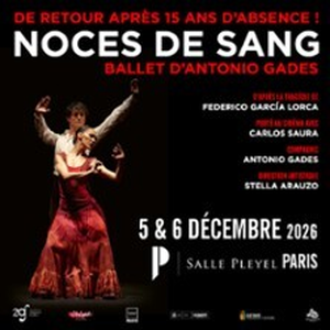 Illustration Noces de Sang - Un Ballet d'Antonio Gades & Carlos Saura - Salle Pleyel, Paris