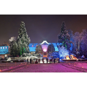 Illustration Noël au Jardin