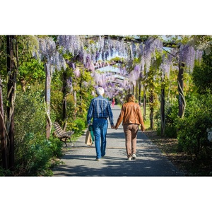 Illustration Nordicwalkin' : marche nordique géante dans Bordeaux Métropole