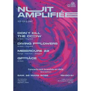 Illustration Nuit Amplifiée