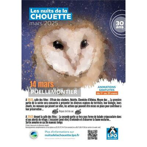 Illustration Nuit de la chouette