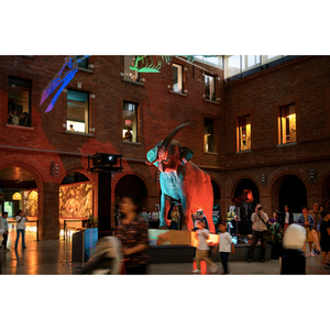 Illustration Nuit européenne des musées au Muséum de Toulouse