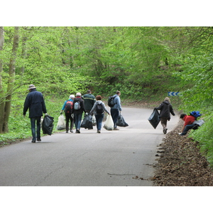 Illustration Opération forêts propres