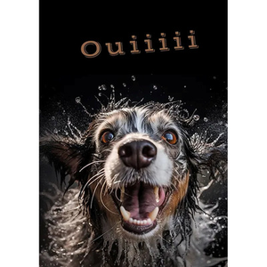 Illustration Ouiiii