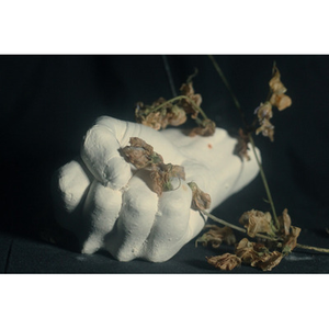 Illustration PAIN MAGAZINE - BIRDS IN ROW X LOUISAHHH X MAELSTROM X QUENTIN SAUVÉ