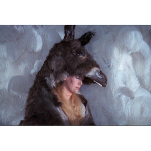 Illustration Peau d'Âne