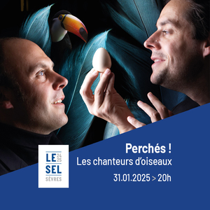 Illustration Perchés ! - Les chanteurs d'oiseaux