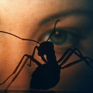 Illustration Phase IV | Saul Bass