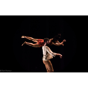 Illustration « Phasmes » au TNP