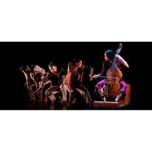 Illustration PHÉNIX