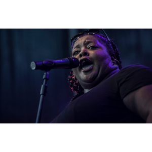 Illustration Pique-nique Blues