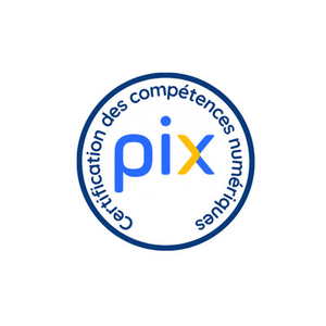 Illustration PIX : sur la route des compétences numériques