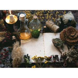 Illustration Plantes magiques et bêtes mystérieuses