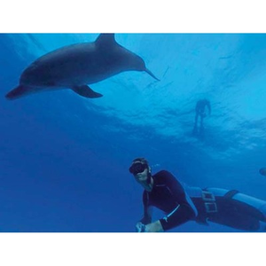 Illustration Plongées immersives dans la nature