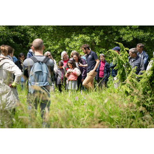 Illustration Portes ouvertes dans les jardins remarquables du Conservatoire botanique national de Bailleul