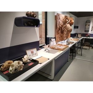 Illustration Préhistoire, l'enquête : la bête de Souillac