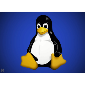 Illustration Premiers pas avec Linux