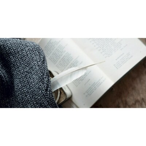 Illustration Printemps des poètes