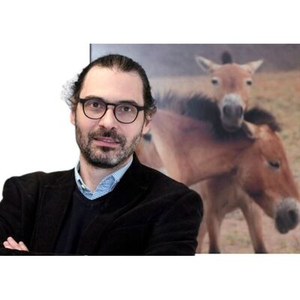 Illustration Projection de conférence : Domestication du cheval, ce que révèle l’ADN ancien
