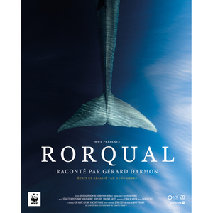 Illustration Projection du film "Rorqual"