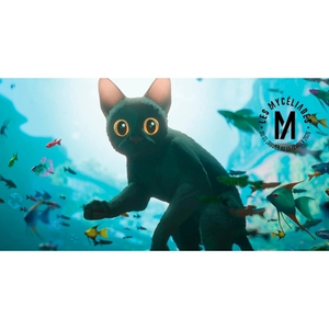 Illustration Projection : Flow le chat qui n'avait plus peur de l'eau