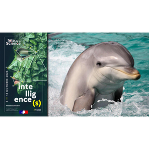 Illustration Quand les animaux prennent la parole !