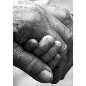 Illustration QUAND LES FEUILLES TOMBENT