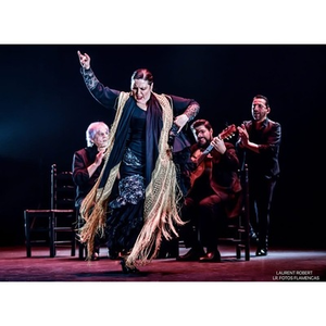 Illustration Quiero tu cante, spectacle de flamenco