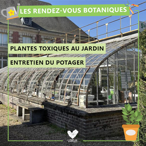 Illustration RDV botaniques : Plantes toxiques au jardin et entretien du potager