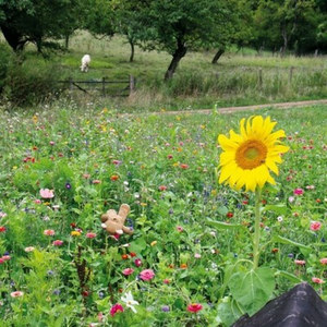 Illustration Regarde-moi...