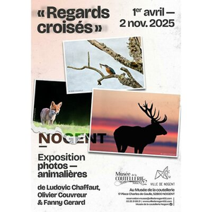 Illustration REGARDS CROISÉS