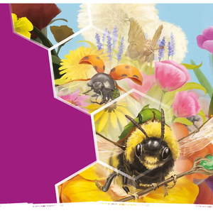 Illustration Rencontre avec l'éditrice de jeux de société Laura Degracia