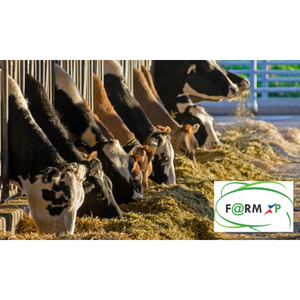 Illustration Rencontre du réseau des fermes professionnelles expérimentales bovins lait et viande - BIENNALE FARM XP