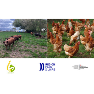 Illustration Rencontre monogastriques plein air (49)