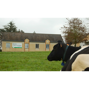 Illustration Rencontre technique à la ferme expérimentale de Derval (44)