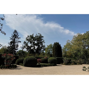 Illustration Rendez vous aux Jardins