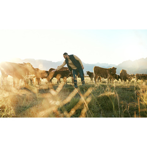 Illustration Rendez-vous viande 2025