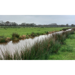 Illustration Réunion d'information MAEC - Enjeu biodiversité