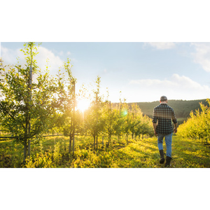 Illustration Réunion d'information sur l'exploitation "Terre de Brunetière", partenaire du projet CLIMATE FARM DEMO