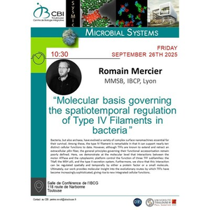 Illustration Romain Mercier
“Molecular basis governing the spatiotemporal regulation of Type IV Filaments in bacteria ”