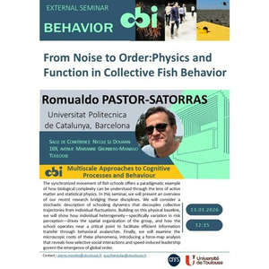 Illustration Romualdo PASTOR-SATORRAS - From Noise to Order: Physics and Function in Collective Fish Behavior