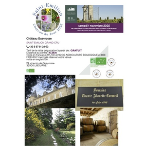 Illustration Saint Emilion, château du jour