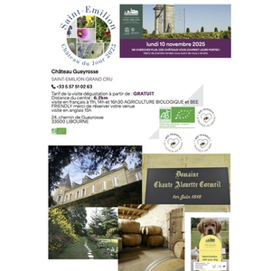 Illustration Saint Emilion, château du jour