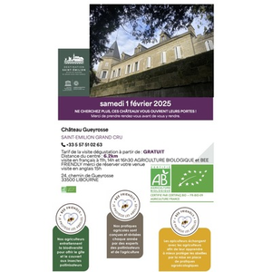 Illustration Saint Emilion château du jour