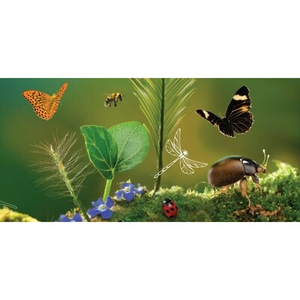 Illustration Salon du Développement Durable