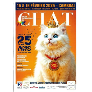 Illustration Salon international du chat - Cambrai 🐈