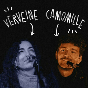 Illustration Scènes musicales amateurs