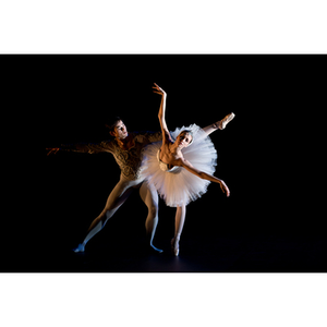 Illustration SECRETS DU BALLET