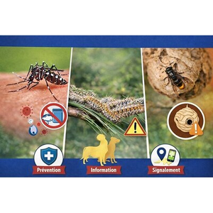 Illustration Sensibilisation aux espèces invasives et nuisibles